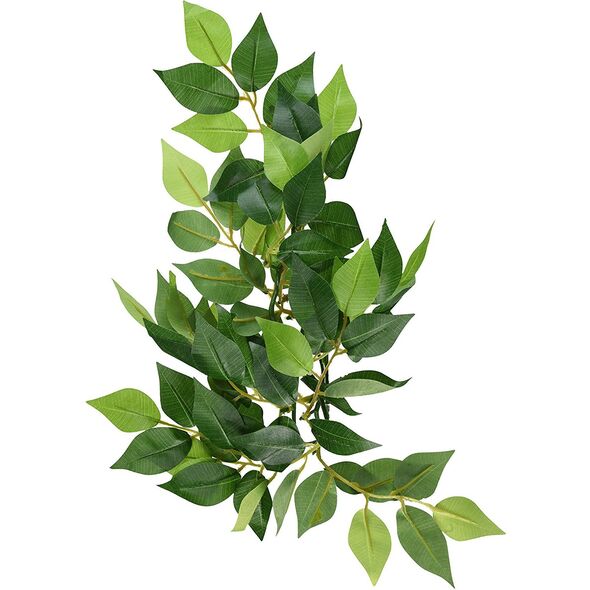 Hagen EXOTERRA ROŚLINA FICUS S