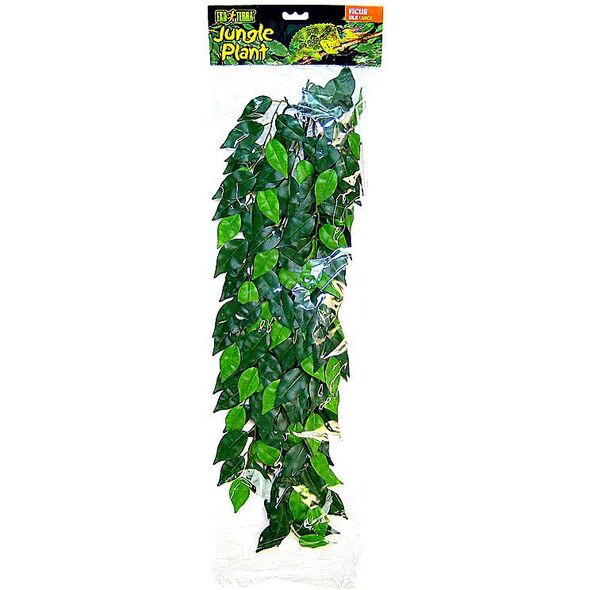 Hagen EXOTERRA ROŚLINA FICUS L