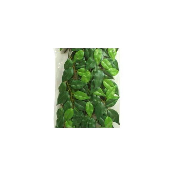 Hagen EXOTERRA ROŚLINA FICUS L