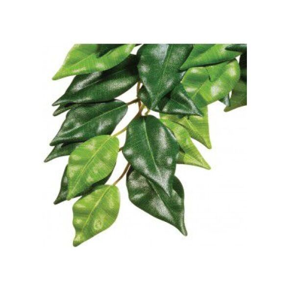 Hagen EXOTERRA ROŚLINA FICUS M