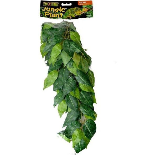 Hagen EXOTERRA ROŚLINA FICUS M