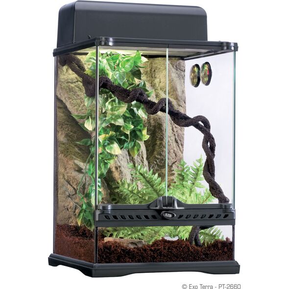Hagen EXOTERRA LIANA L