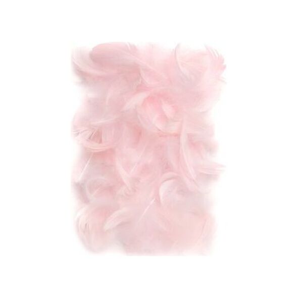 DP Craft PiĂłrka dekoracyjne 5-12 cm Pink CEPI-018