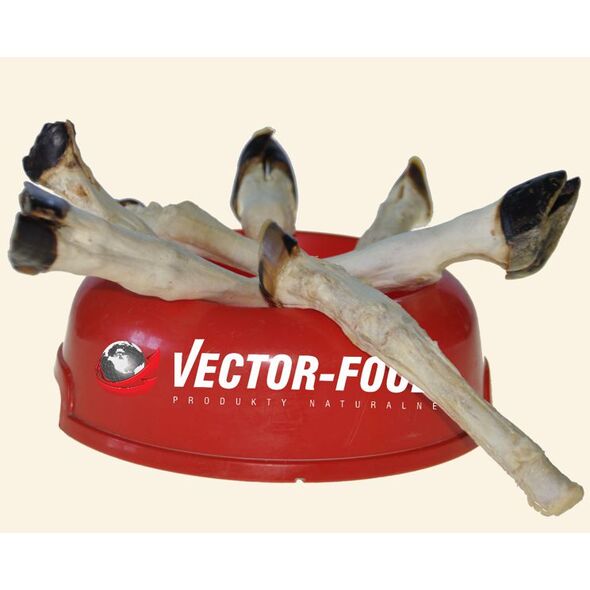 Vector-Food Giczka jagnięca "York" 1szt