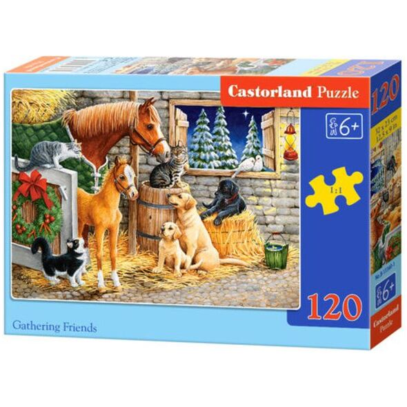 Castorland Puzzle Gathering Friends 120 elementów (241110)