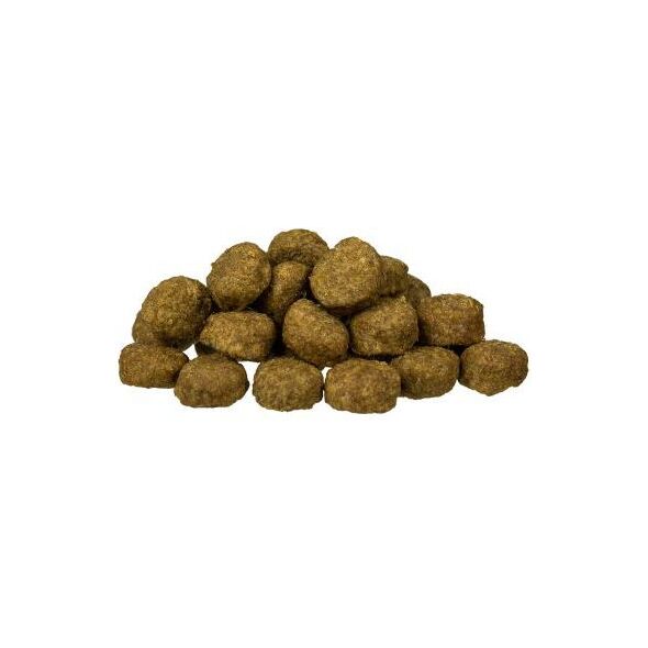 Bosch Tiernahrung Junior Lamb & Rice 15kg