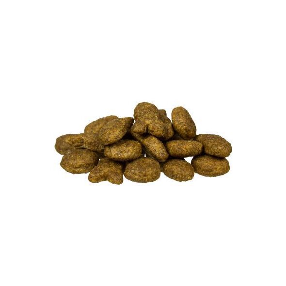 Bosch Tiernahrung Adult Fish & Potato 15kg