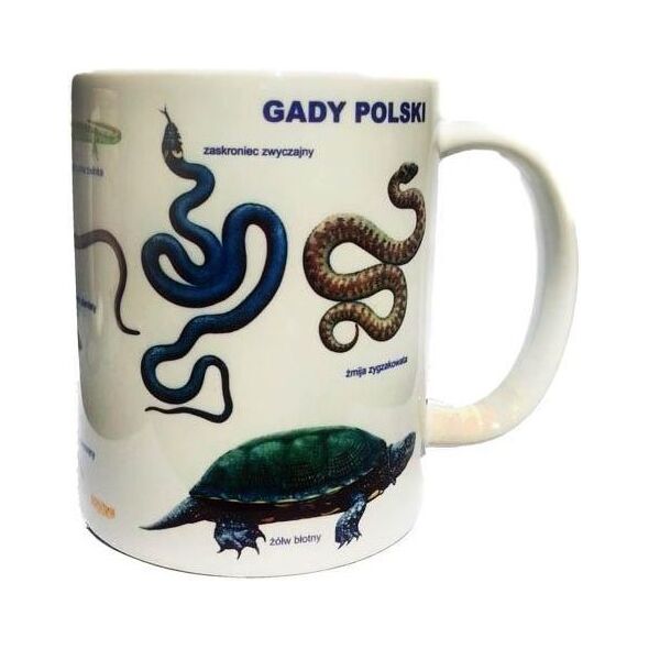 Soliton Kubek Gady