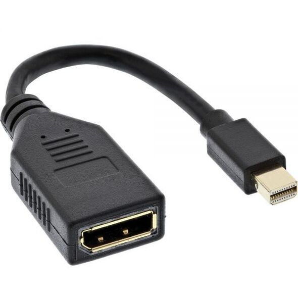 Adapter AV InLine DisplayPort Mini - DisplayPort czarny (17150S)