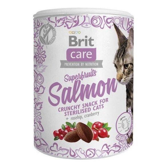 Brit Care Cat Snack Superfruits Salmon 100g