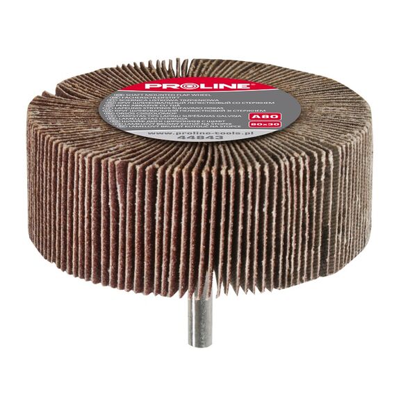 Pro-Line Ściernica listkowa trzpieniowa 80x30mm A40 - 44841