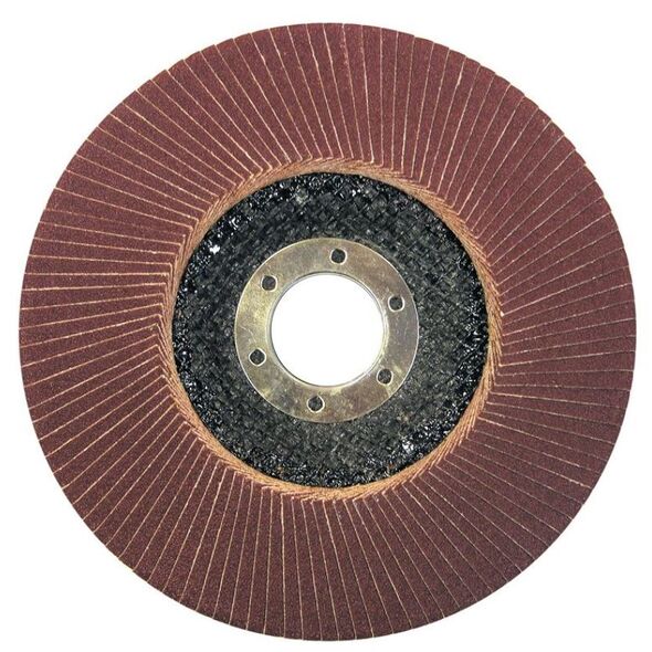 Pro-Line Ściernica listkowa talerzowa 125mm granulacja 80 - 44813