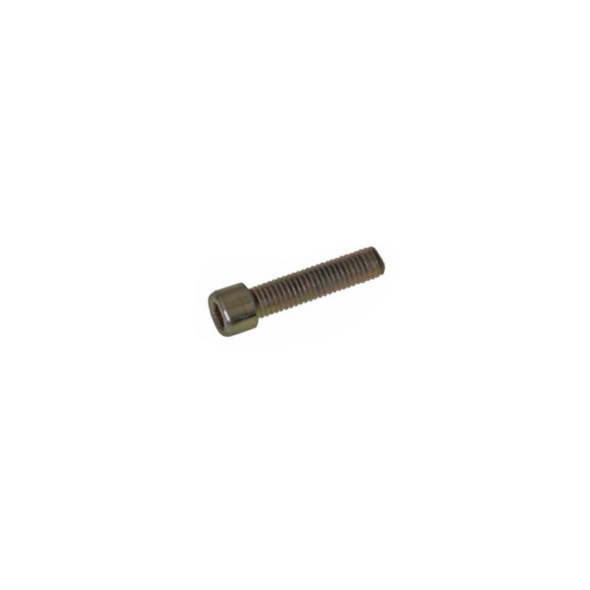 Dedra Nasadka grzejna 63 mm ze śrubą - DED751663