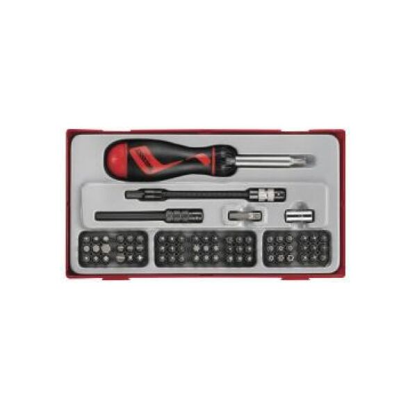 Teng Tools Zestaw wkrętaka z grotami wymiennymi 74 elementy (14403-0103)