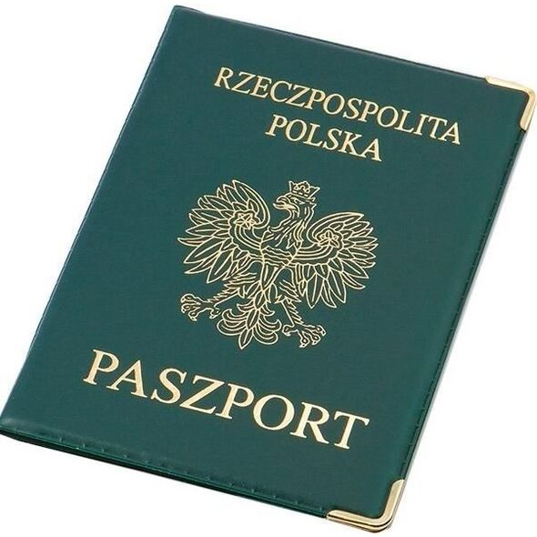 Panta Plast Okładka na paszport PVC MIX