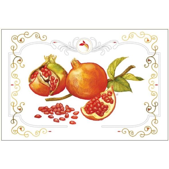 DA VINCI Karnet granat DaVinci 12x18 cm + koperta (B-BD 502 061)