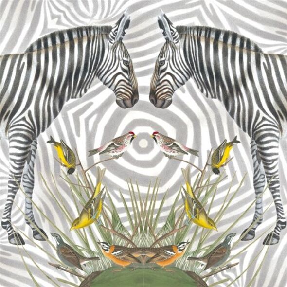 Museums & Galleries Karnet kwadrat Zebra z kopertą