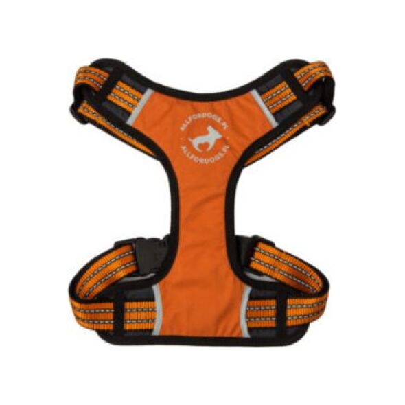 All For Dogs Szelki sportowe pomarańczowe r. L (70-125cm)