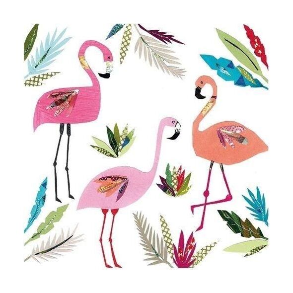 Museums & Galleries Karnet kwadrat z kopertą 3 Flamingos