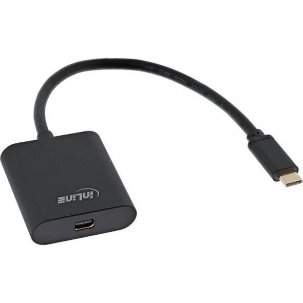 Adapter USB InLine USB-C - DisplayPort Mini Czarny  (64105B)