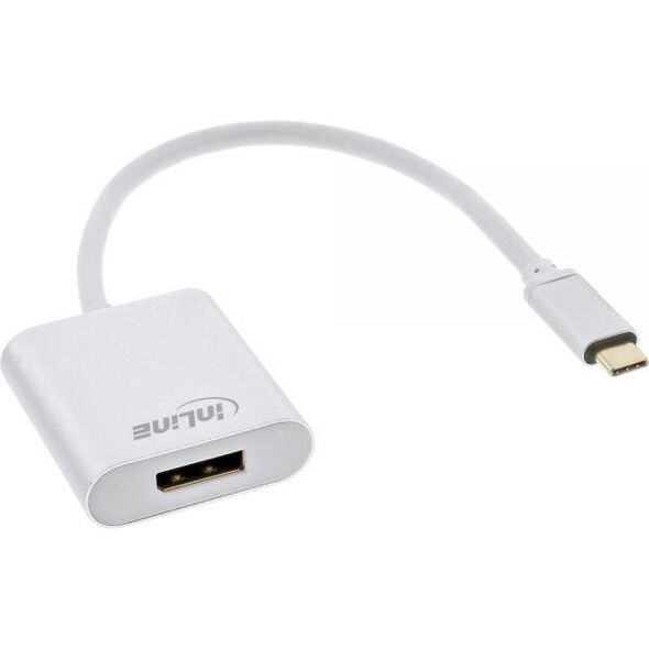 Adapter USB InLine USB-C - DisplayPort Biały  (64102S)