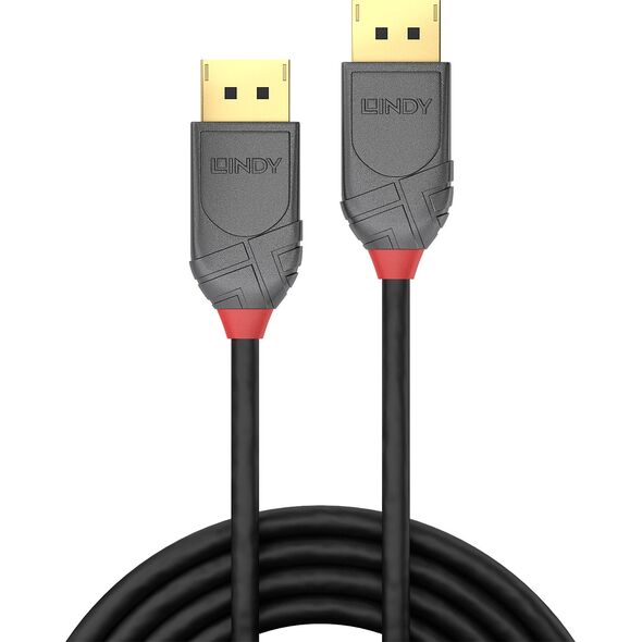 Kabel Lindy DisplayPort - DisplayPort 5m szary (36484)