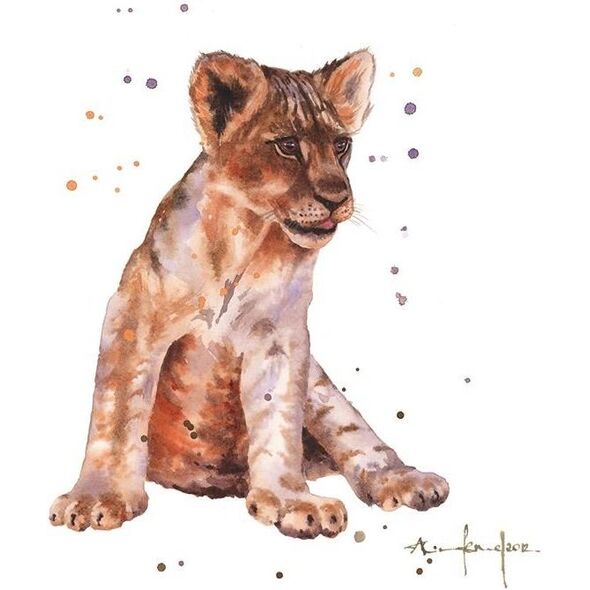 Museums & Galleries Karnet kwadrat mały z kopertą - Lion Cub