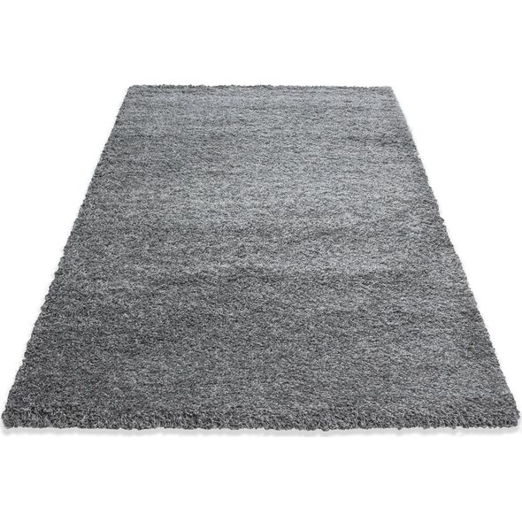 Ayyildiz Hali Ayyildiz kilimas LIFE light grey, 200X290 cm