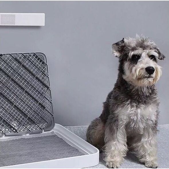 Petkit PETKIT Pura Air, Smart Odor Eliminator, Two Modes ( Auto Pet detection and every 6 Hours ). Negative Ions Generator to deactivate Virus. Notification Lights.