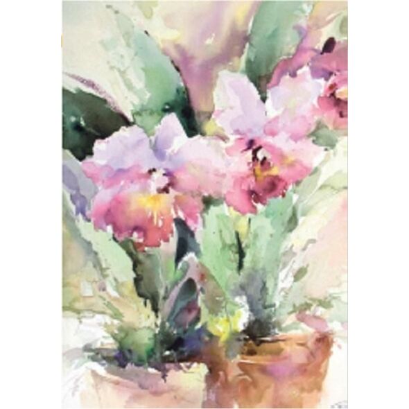 DaVinci Karnet 12x18 cm B-BJ 202 388 + koperta Różowa róża