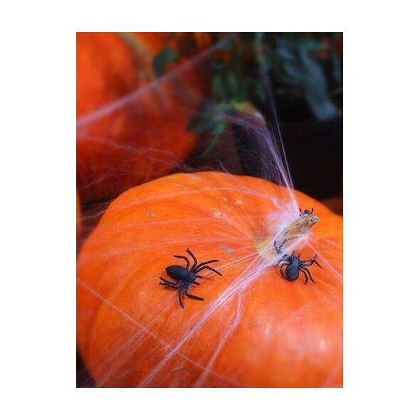 Party Deco Pająki plastikowe czarne na Halloween - 10 szt. uniwersalny