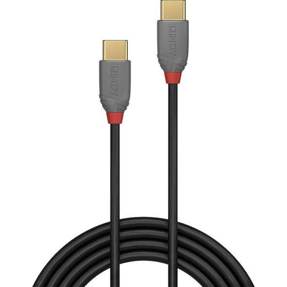 Kabel USB Lindy USB-C - USB-C 2 m Szary (36872)