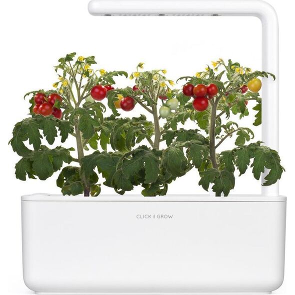 Click And Grow Click&Grow Kapsułki z nasionami Smart Soil Pomidorki koktajlowe 3pak