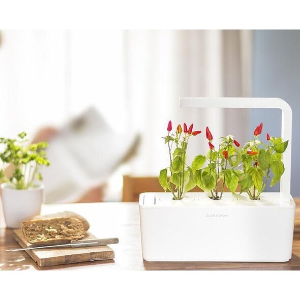 Click And Grow Click&Grow Kapsułki z nasionami Smart Soil Papryczka Chili 3pak