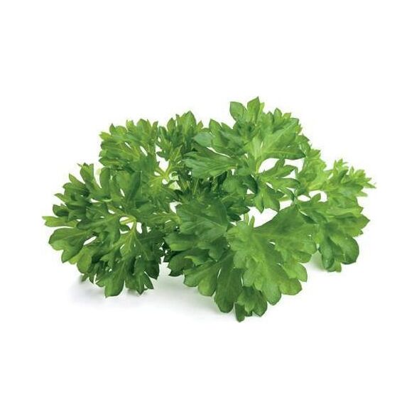 Click And Grow Click&Grow Kapsułki z nasionami Smart Soil Pietruszka 3pak
