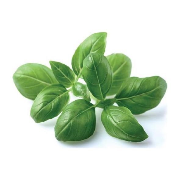 Click And Grow Click&Grow Kapsułki z nasionami Smart Soil Bazylia 3pak