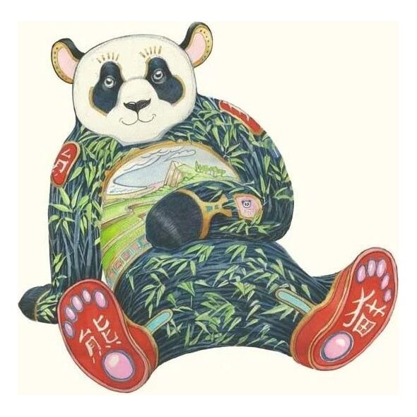 DM Collection Karnet A121 B6 + koperta Panda