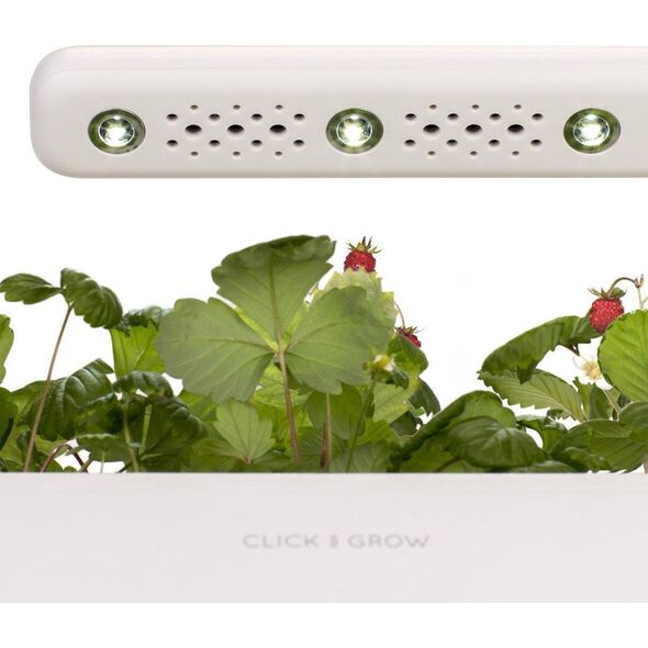 Click And Grow Click and Grow smart garden 3 dark grey