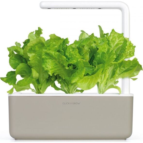 Click And Grow Refill sałata 3-pak