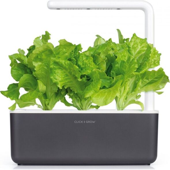 Click And Grow Refill sałata 3-pak