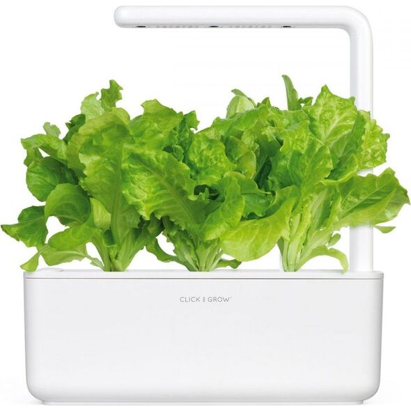 Click And Grow Refill sałata 3-pak