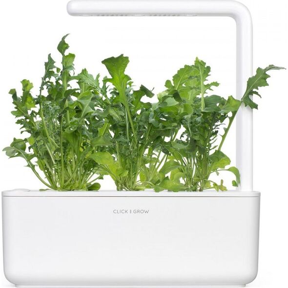 Click And Grow Refill rukola 3-pak