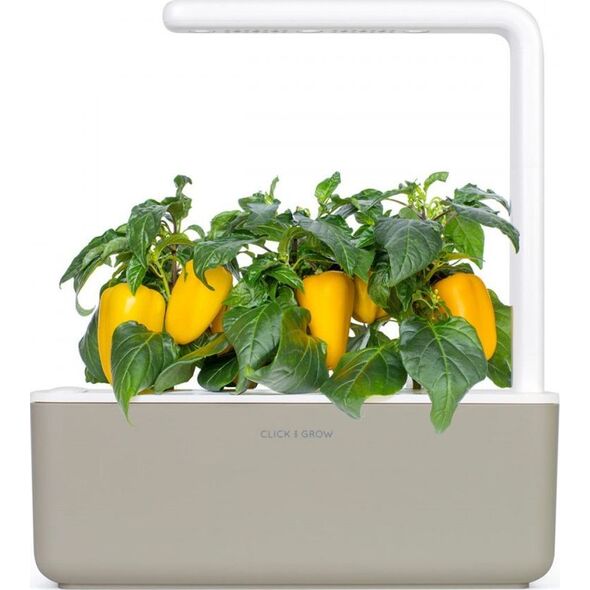 Click And Grow Click and Grow refill żółta papryka 3-pak