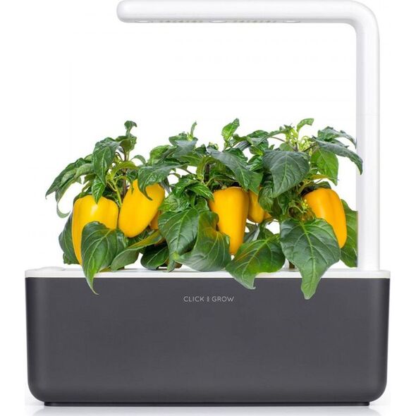 Click And Grow Click and Grow refill żółta papryka 3-pak