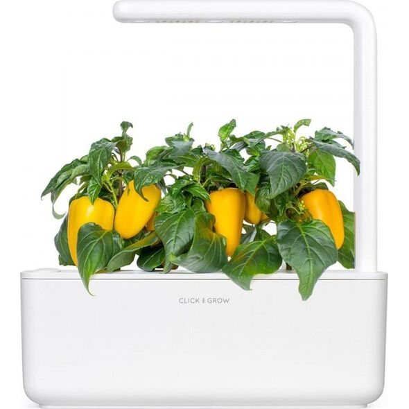 Click And Grow Click and Grow refill żółta papryka 3-pak