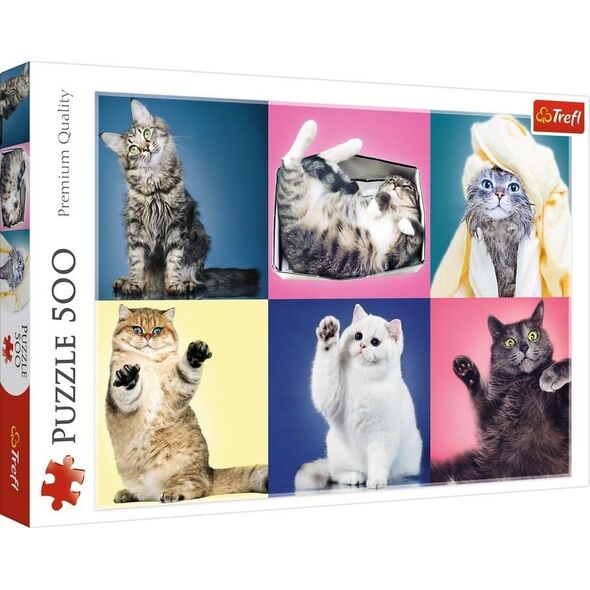 Trefl Puzzle 500 Kociaki