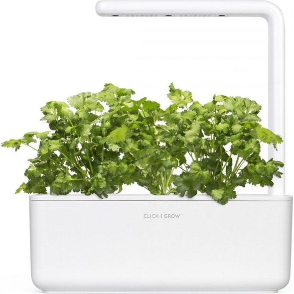 Click And Grow Refill kolendra 3-pak