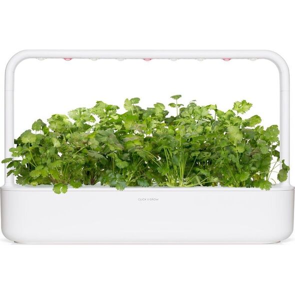 Click And Grow Refill kolendra 3-pak