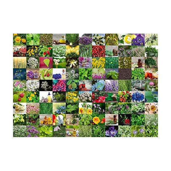 Ravensburger Puzzle 1000 elementów 99 Ziół