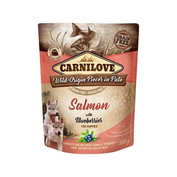 Carnilove Brit Carnilove Salmon Blueberries Łosoś Jagody Bezzbożowa dla Szczeniąt 300 g